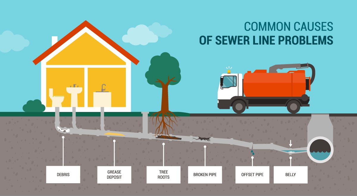 Diagram of common causes of sewer line problems
